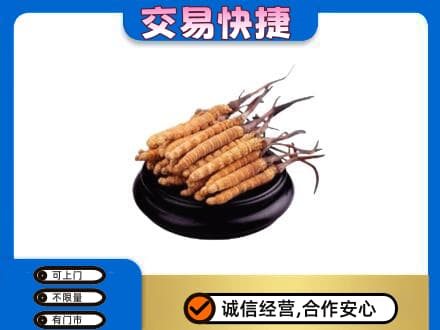 通辽开鲁县回收冬虫夏草多少钱每克